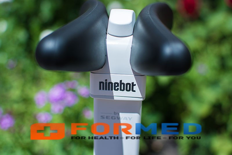  - Ninebot Mini Pro ()