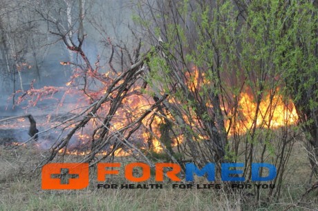  Ликвидация пожара на территории «Чернобыльская пуща»
