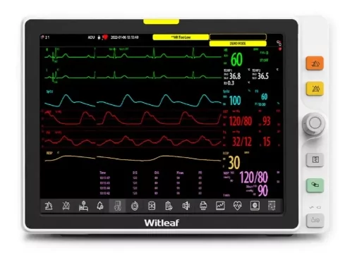   Witleaf L10
