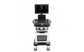  DW-F5