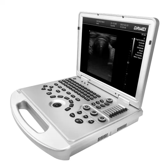   DW-L3
