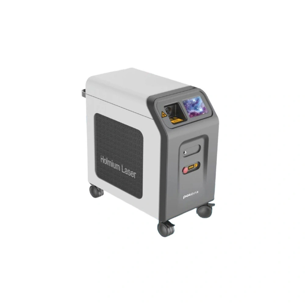 ���������� ����� Potent HZ-80W