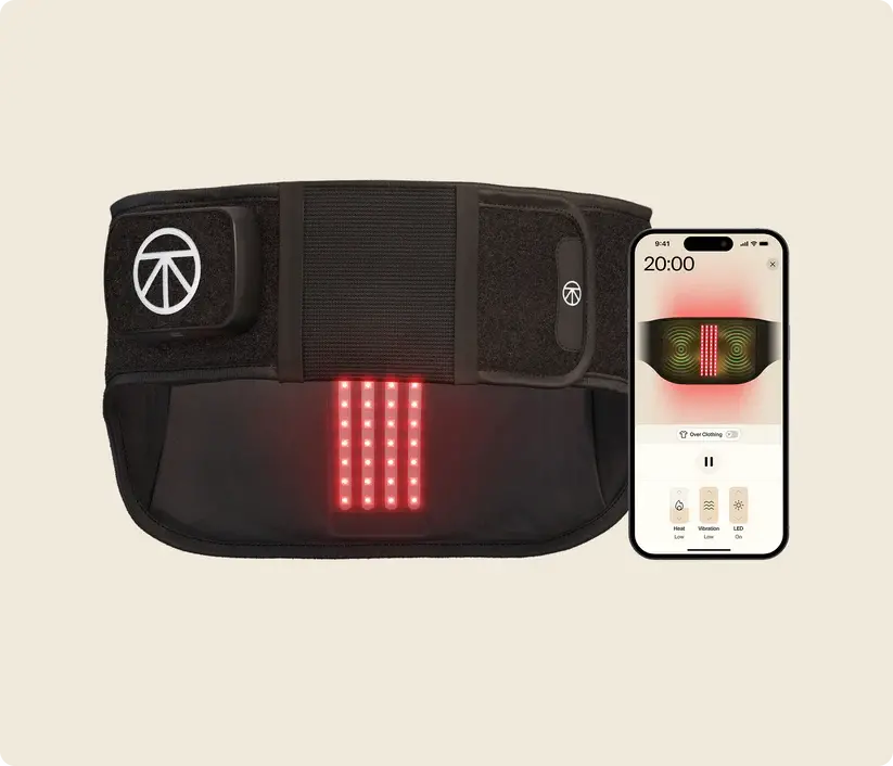    ThermBack LED