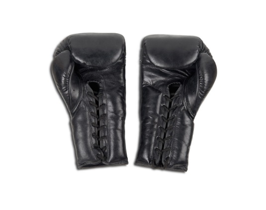   Boxing Gloves